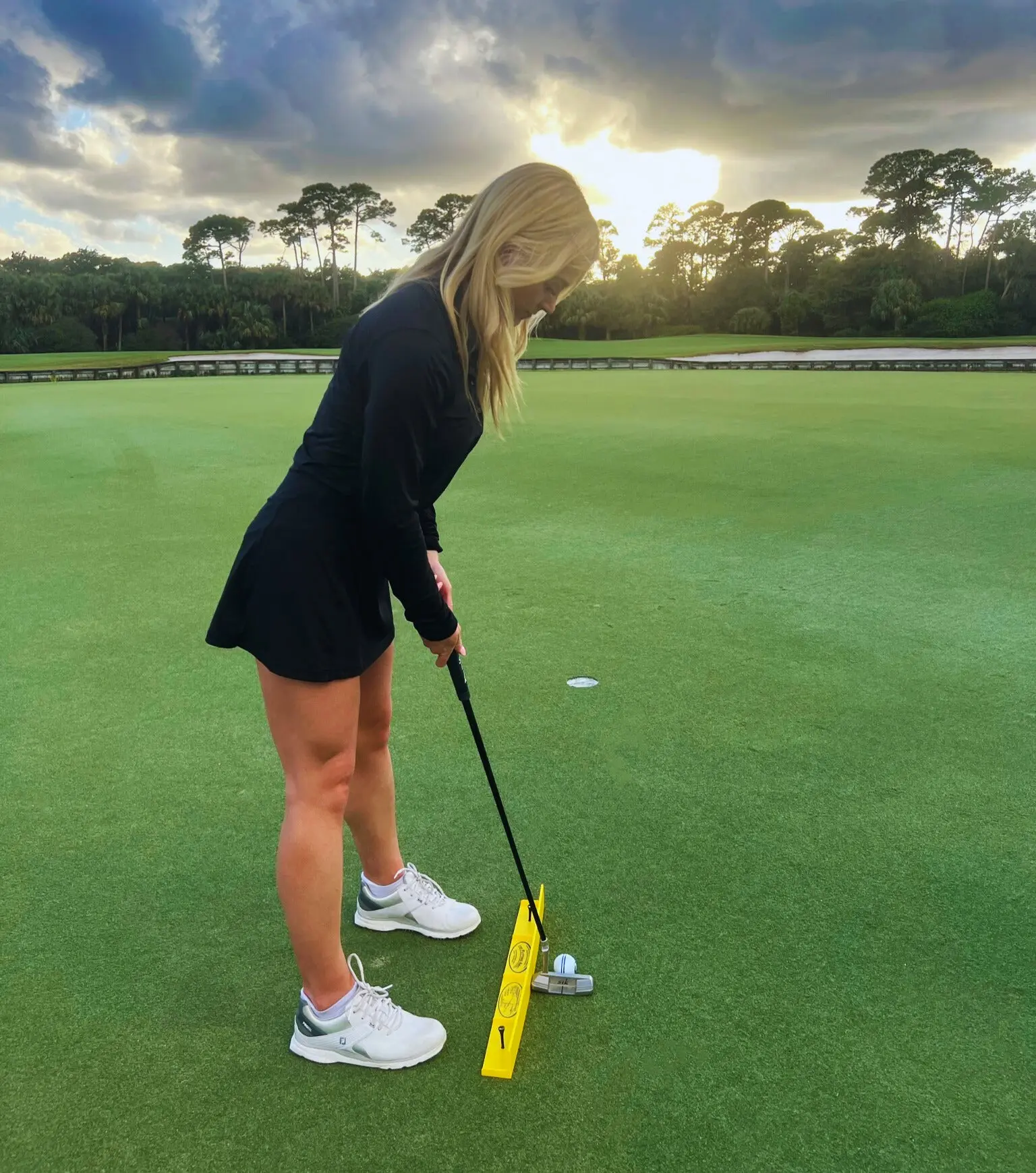 The Putting Arc Travel (T3) - Image 5