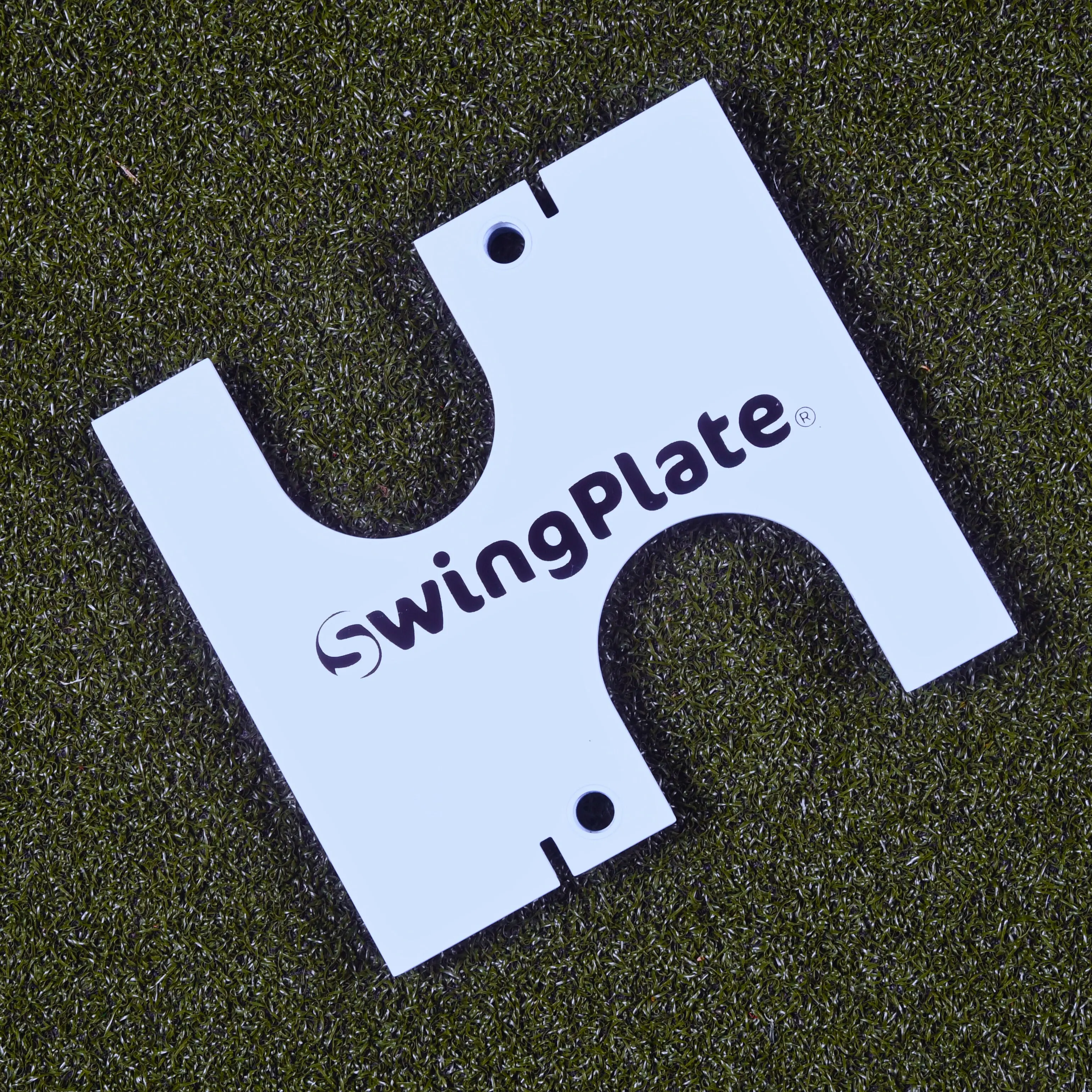 SwingPlate Putting Gate (Gate Only must buy Swingplate base separately)